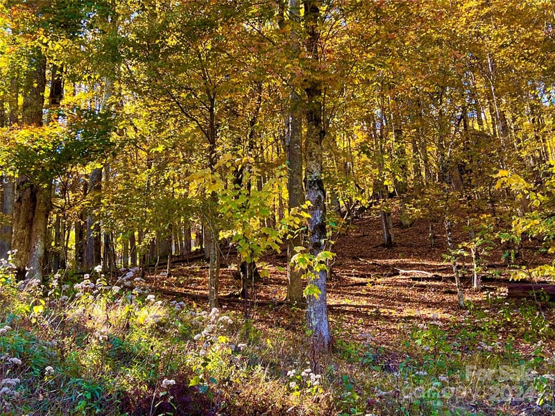000 Flame Azalea Ln #93, Mars Hill, NC 28754