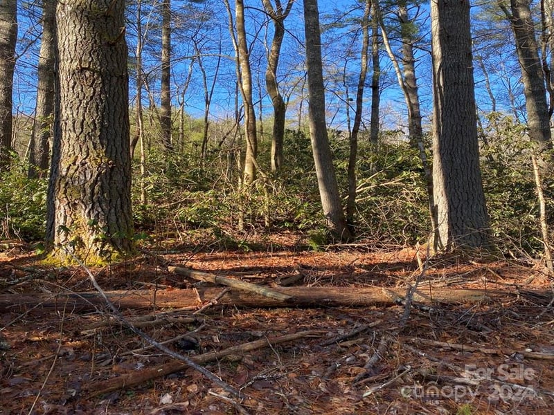 L41 Abby Falls Rd #L41, Rosman, NC 28772