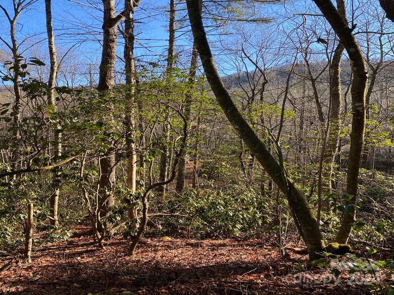 L41 Abby Falls Rd #L41, Rosman, NC 28772