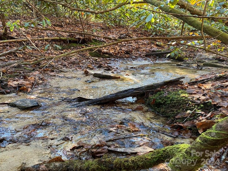 L41 Abby Falls Rd #L41, Rosman, NC 28772