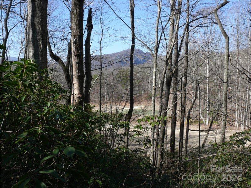 Lot 56 Winesap Blvd, Lake Lure, NC 28746