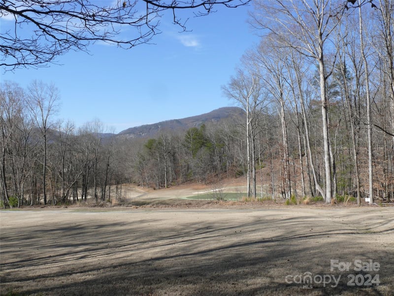 Lot 56 Winesap Blvd, Lake Lure, NC 28746