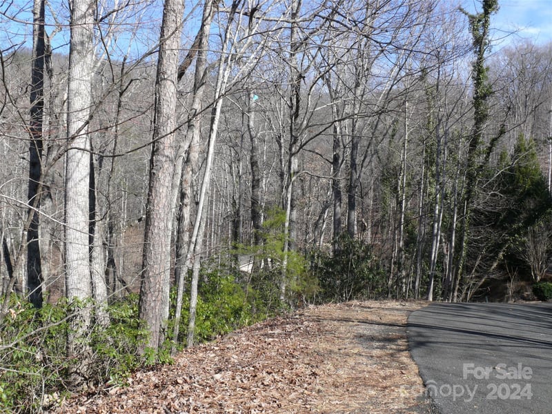 Lot 56 Winesap Blvd, Lake Lure, NC 28746