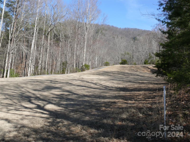 Lot 56 Winesap Blvd, Lake Lure, NC 28746