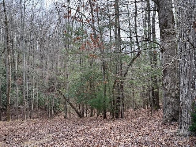 TBD Dotsuwa Ct #L130&131-U26, Brevard, NC 28712