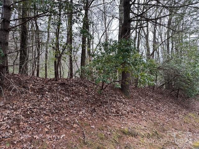 TBD Dotsuwa Ct #L130&131-U26, Brevard, NC 28712