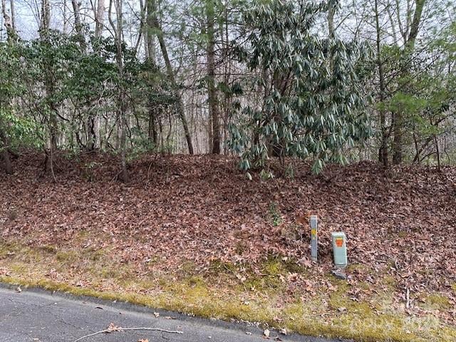 TBD Dotsuwa Ct #L130&131-U26, Brevard, NC 28712