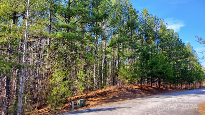 Sunset Dr #20, Mill Spring, NC 28756