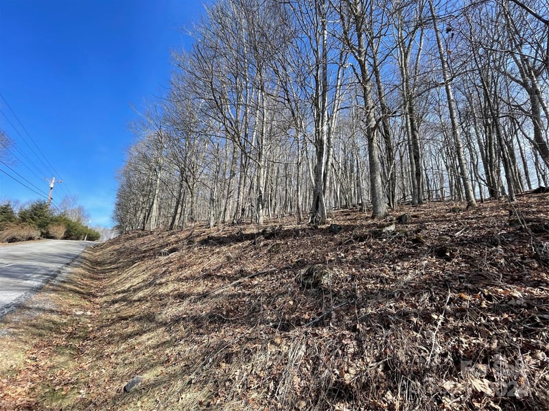 000 El Miner Dr #464, Mars Hill, NC 28754