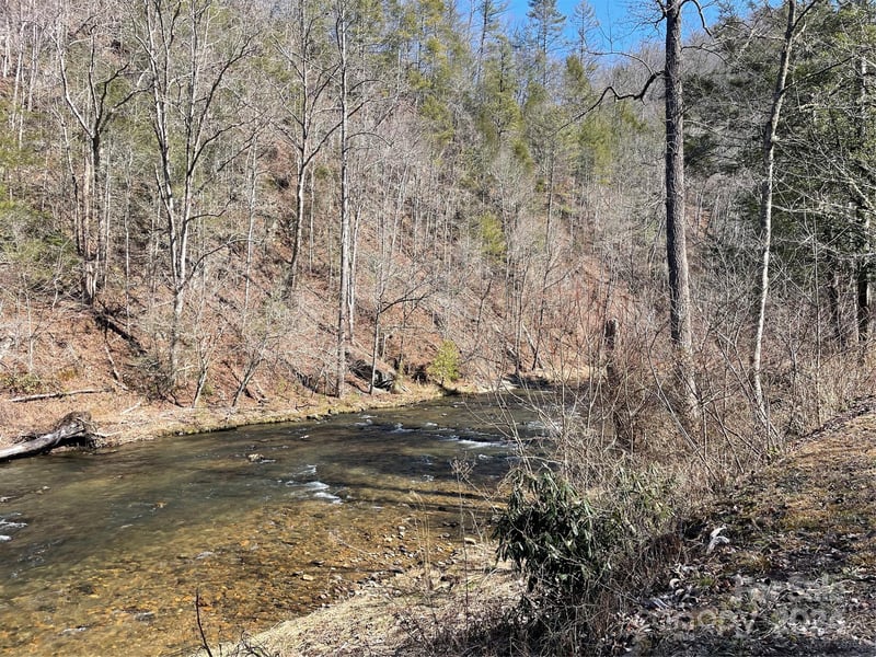 000 Bear River Lodge Trl #77, Marshall, NC 28753