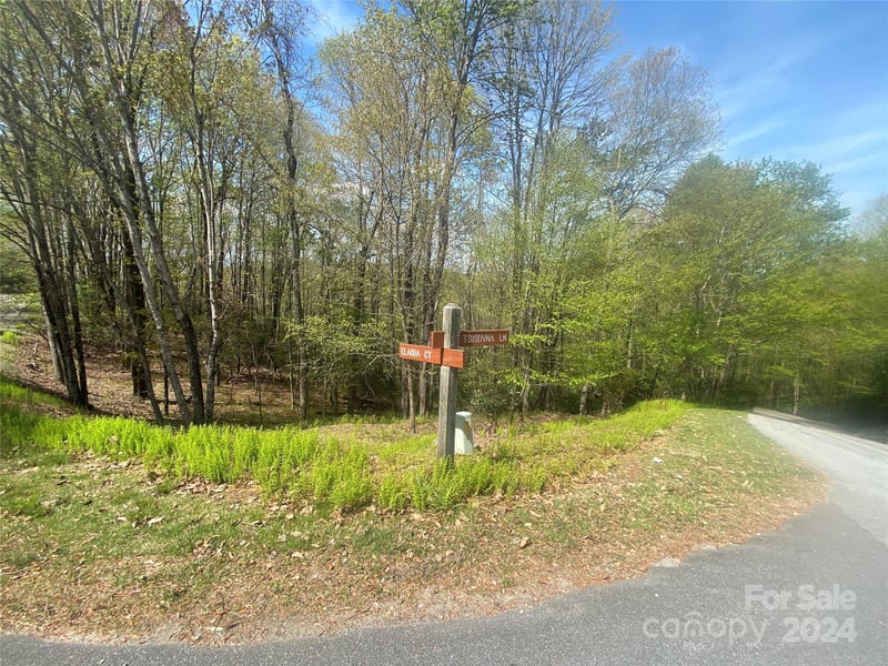 TBD Elaqua Ct #54 & 55A/26, Brevard, NC 28712