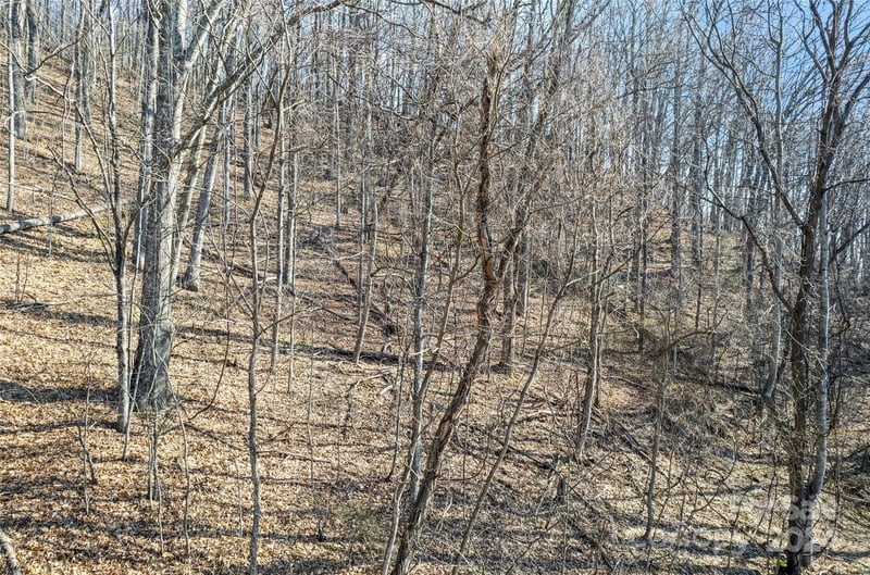 00 Purple Martin Ln, Waynesville, NC 28785