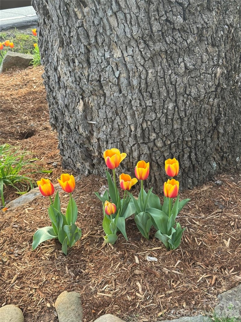 111 Deer Run Ln #40, Asheville, NC 28805