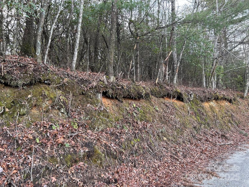 00 Howell Rd, Brevard, NC 28712
