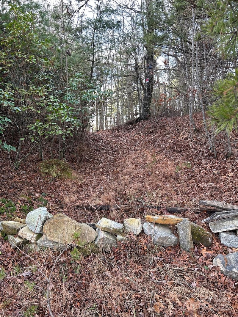 00 Howell Rd, Brevard, NC 28712