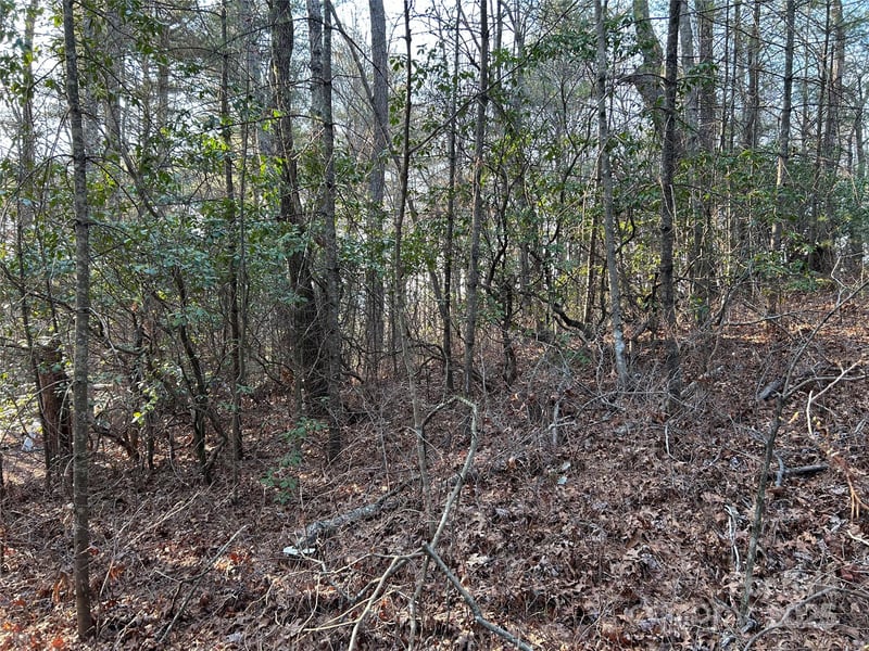 00 Howell Rd, Brevard, NC 28712