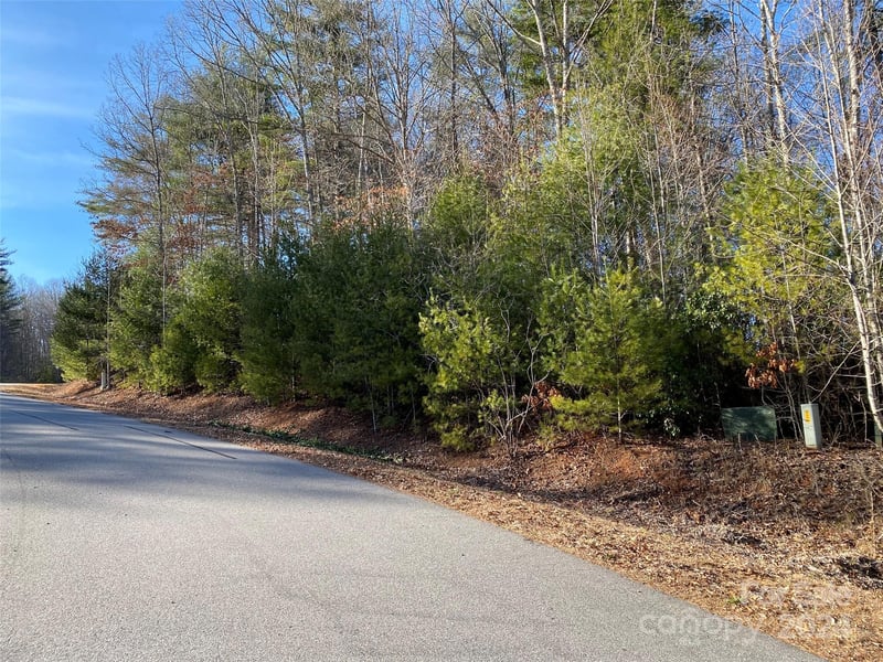 L2 Oxford Ct #S2 P1 L2, Brevard, NC 28712