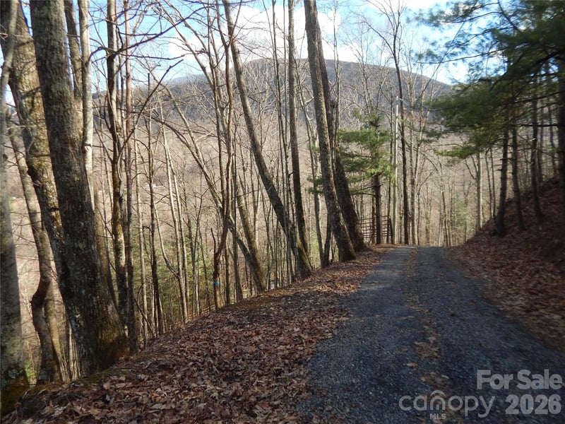 00 Hoot Owl Bill Rd, Maggie Valley, NC 28751