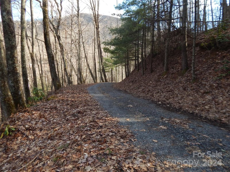 00 Hoot Owl Bill Rd, Maggie Valley, NC 28751