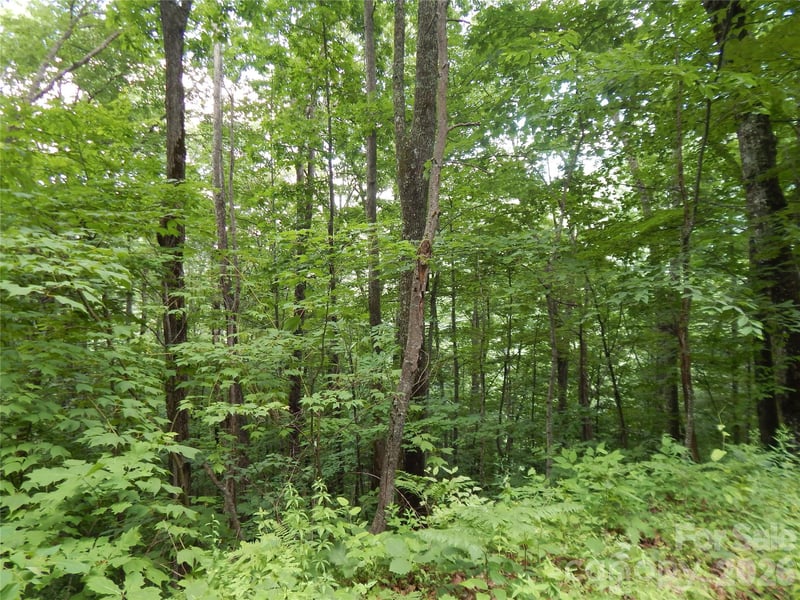 00 Hoot Owl Bill Rd, Maggie Valley, NC 28751
