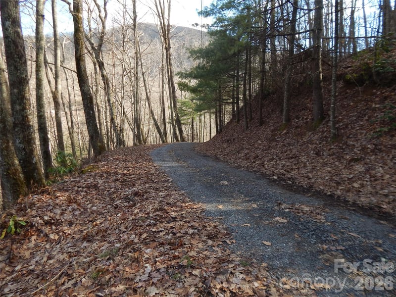 00 Hoot Owl Bill Rd, Maggie Valley, NC 28751