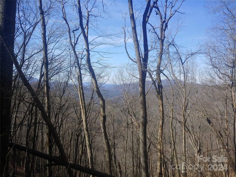 38 Barn Cove Rd, Clyde, NC 28721