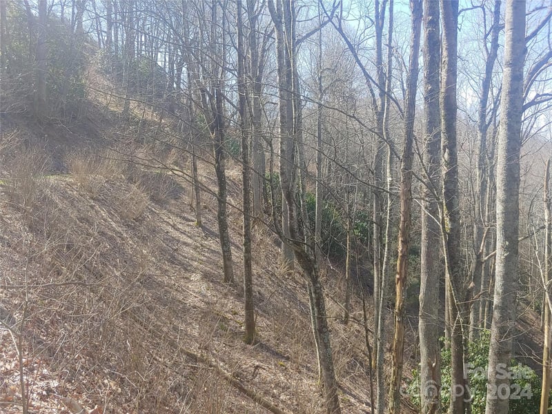 38 Barn Cove Rd, Clyde, NC 28721
