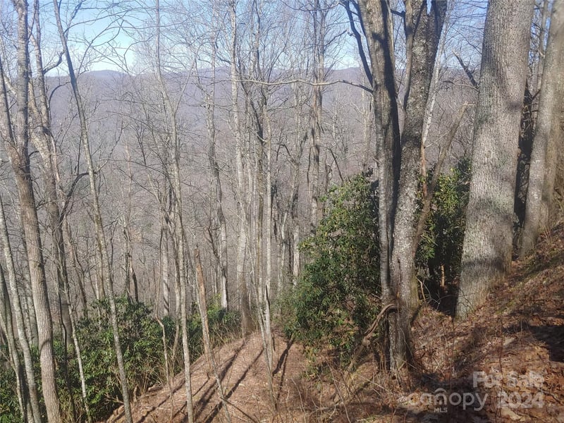 34 Barn Cove Rd, Clyde, NC 28721