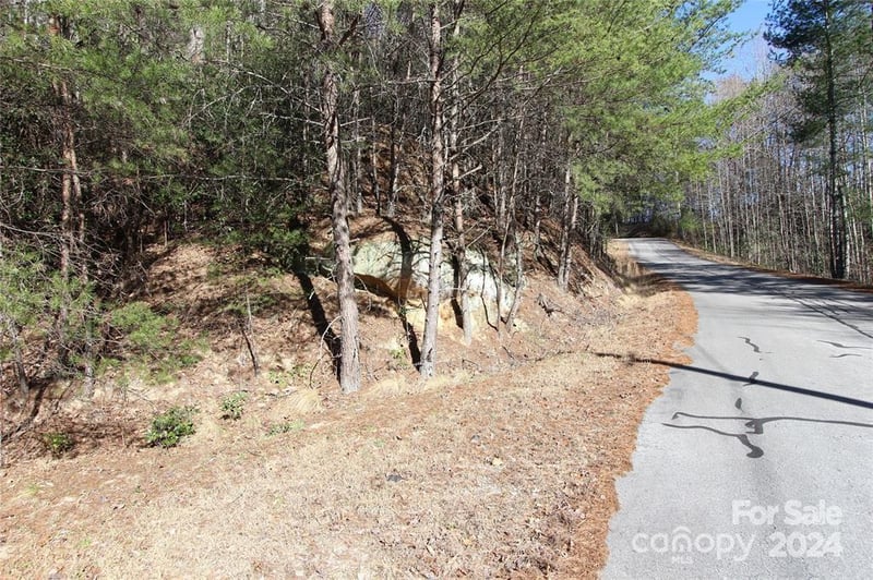 Lot 30 Laurel Valley Dr, Marion, NC 28752