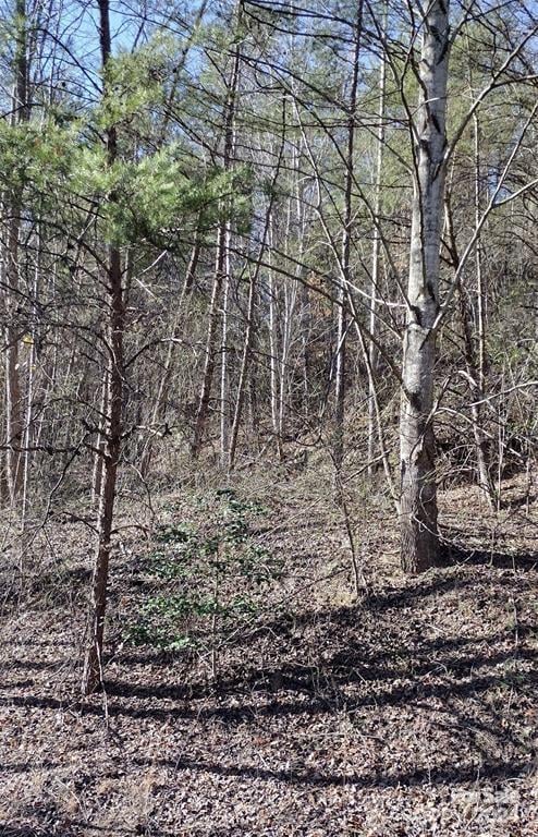 Lot 30 Laurel Valley Dr, Marion, NC 28752