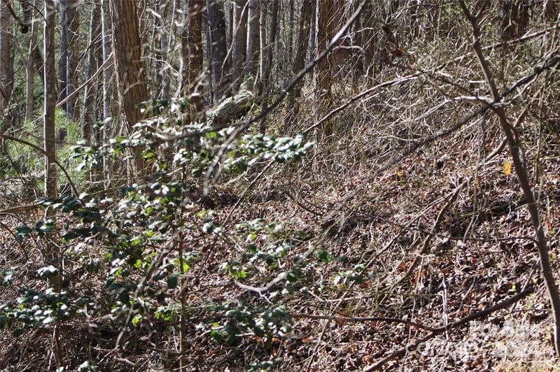 Lot 30 Laurel Valley Dr, Marion, NC 28752