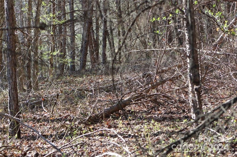 Lot 30 Laurel Valley Dr, Marion, NC 28752