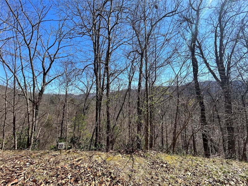 275 Overlook Ln #22, Marshall, NC 28753