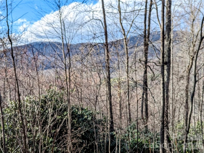 Dodgen Ridge Rd, Tuckasegee, NC 28783