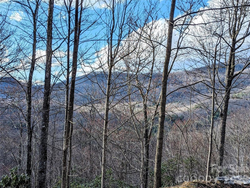 Dodgen Ridge Rd, Tuckasegee, NC 28783