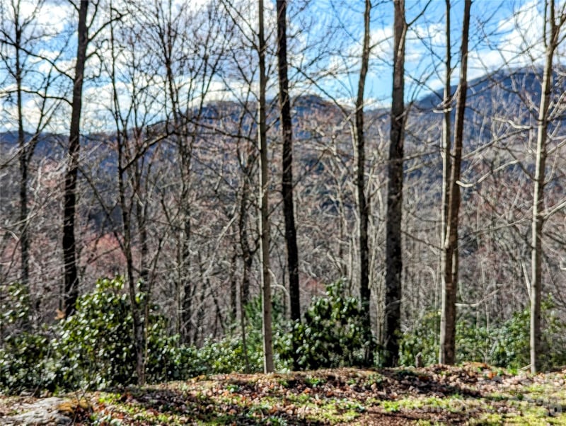 Dodgen Ridge Rd, Tuckasegee, NC 28783