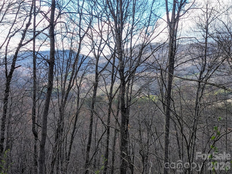Dodgen Ridge Rd, Tuckasegee, NC 28783