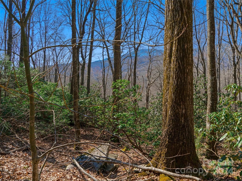 000 Big Ridge Rd #62 & 63, Burnsville, NC 28714