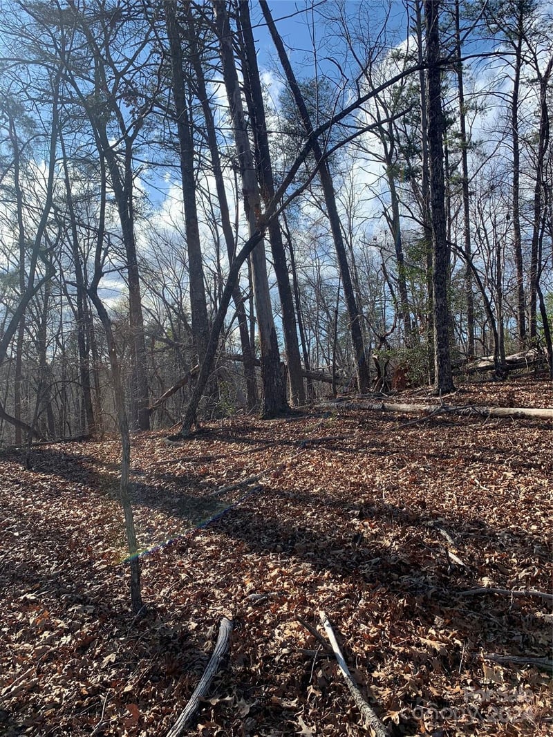 Lynch Rd, Mill Spring, NC 28756
