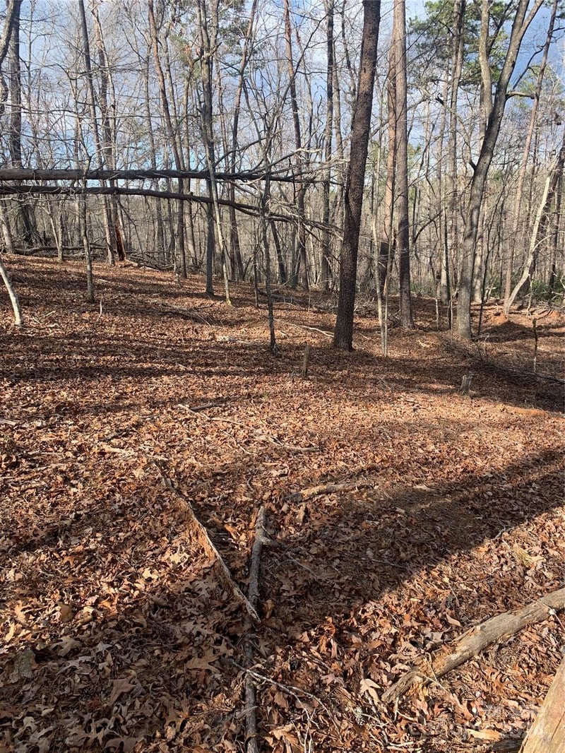 Lynch Rd, Mill Spring, NC 28756