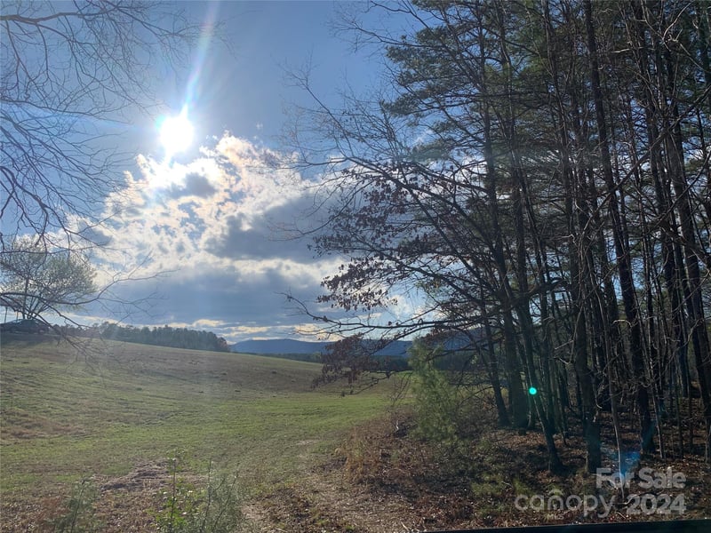 Lynch Rd, Mill Spring, NC 28756