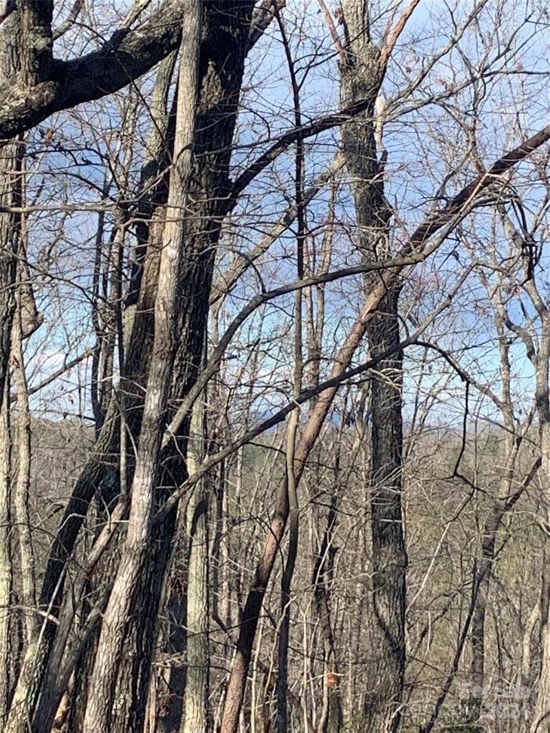 Lynch Rd, Mill Spring, NC 28756