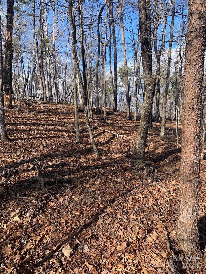 Lynch Rd, Mill Spring, NC 28756