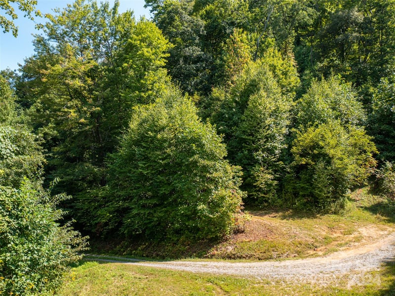 00000 Meadow Fork School Rd, Hot Springs, NC 28743