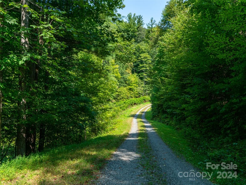 00000 Meadow Fork School Rd, Hot Springs, NC 28743