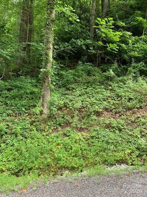 Lot 45-46 Mckenzie Way #45-46, Old Fort, NC 28762