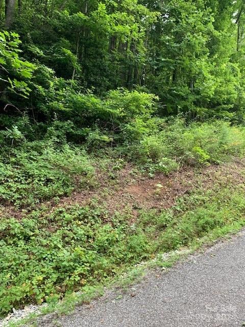 Lot 45-46 Mckenzie Way #45-46, Old Fort, NC 28762