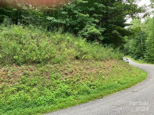 Lot 49-50 Mckenzie Way, Old Fort, NC 28762