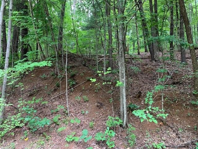 Lot 49-50 Mckenzie Way, Old Fort, NC 28762