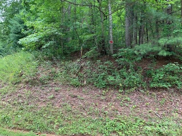 Lot 49-50 Mckenzie Way, Old Fort, NC 28762